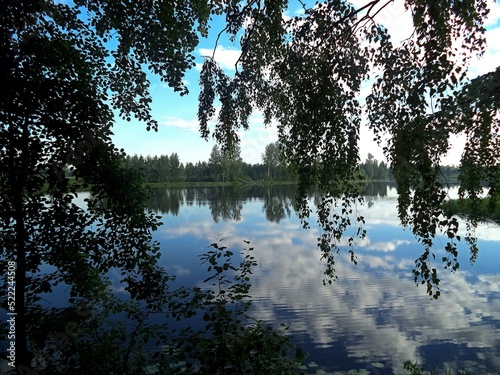 view of the lake through the foliage of trees