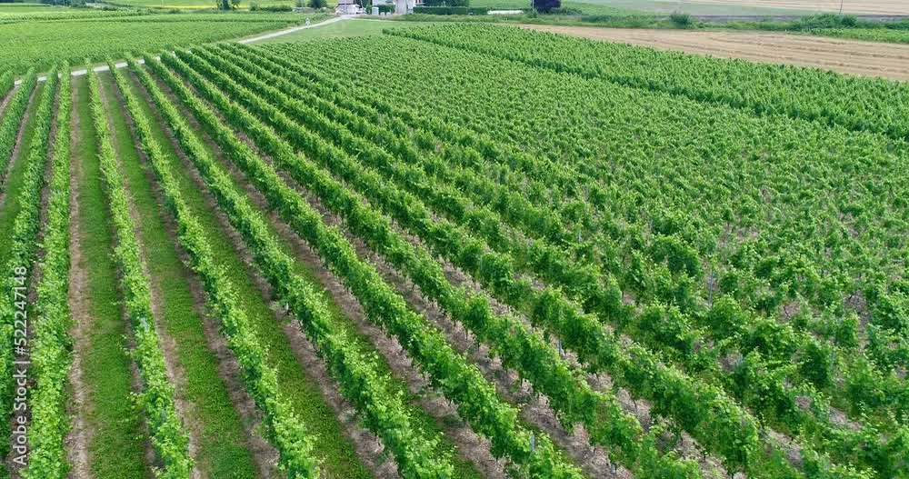 Aerial shot of a vineyard with other fields around it Aerial shot of a vineyard with other fields around it