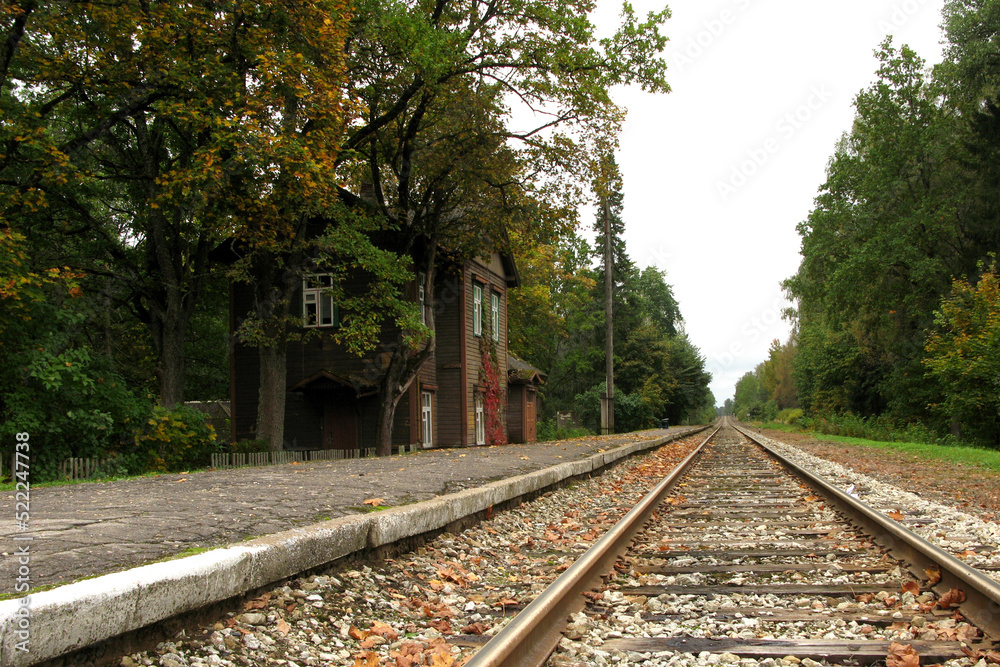 House in the forest by the railroad tracks House in the forest by the railroad tracks