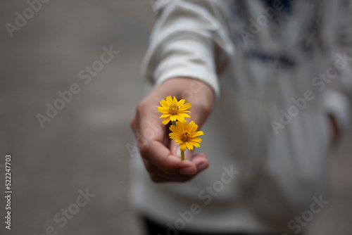 A hand holding a yellow flower extends to you.