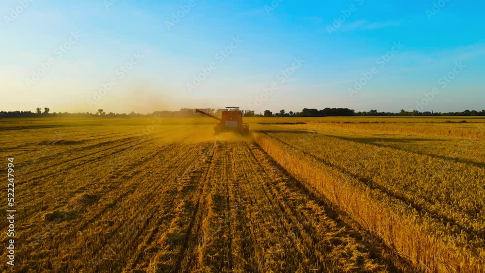 Combine in agriculture field. Aerial view of harvester. Season of gathering crops. Concept of work in agronomic farm. Global grain crisis Combine in agriculture field. Aerial view of harvester. Season of gathering crops. Concept of work in agronomic farm. Global grain crisis