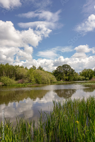 view over scenic lake in parkland. peaceful beauty spot by water edge