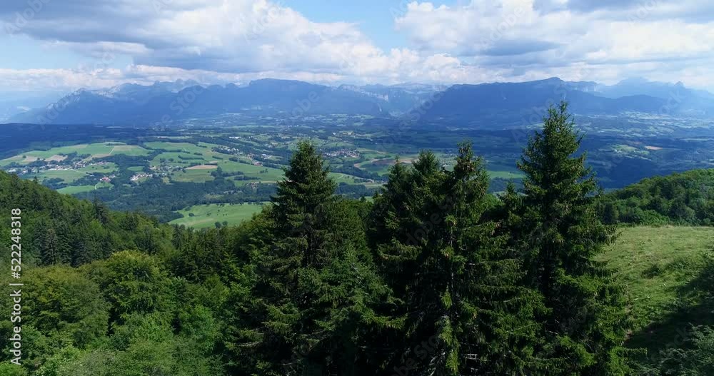 Aerial shot of pine trees with countryside and mountains Aerial shot of pine trees with countryside and mountains