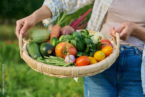 Close up basket of fresh raw organic vegetables in farmer hands © Valerii Honcharuk