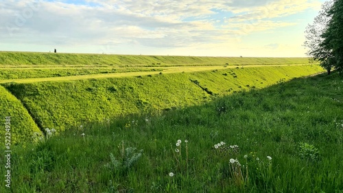 Grass field