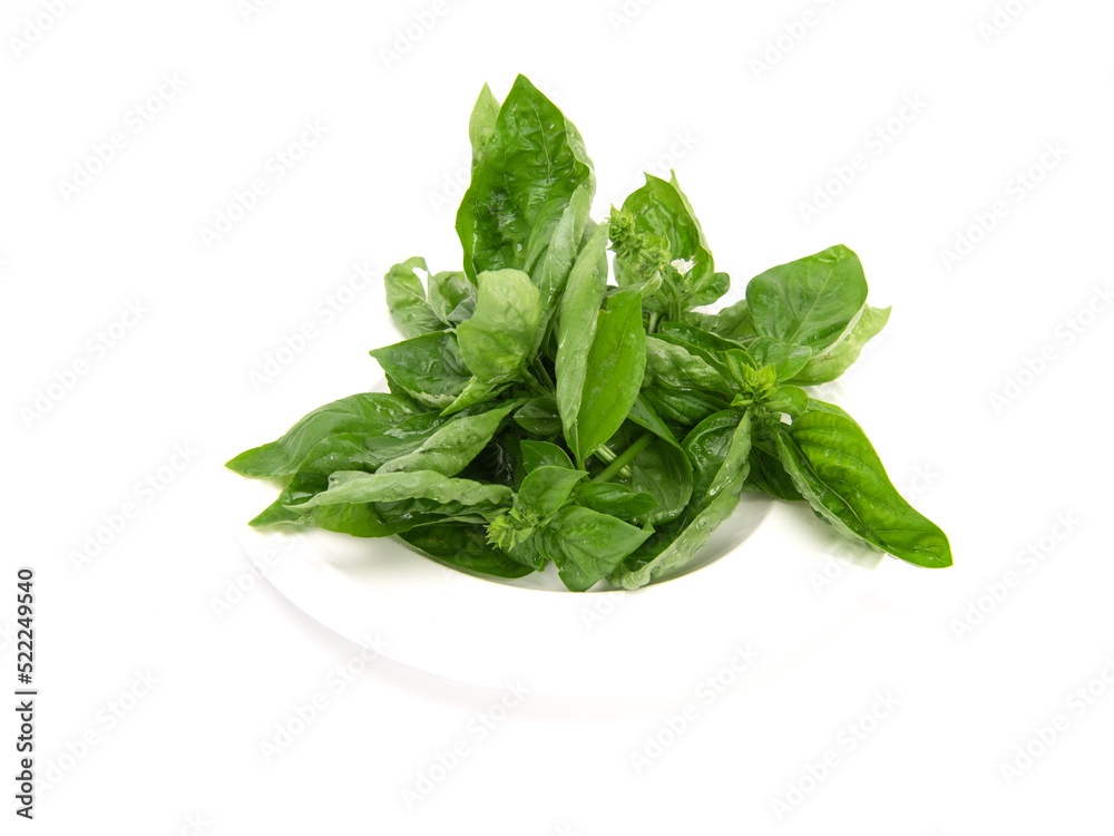Pile of basil on white plate isolated on white background. copy space. Pile of basil on white plate isolated on white background. copy space.