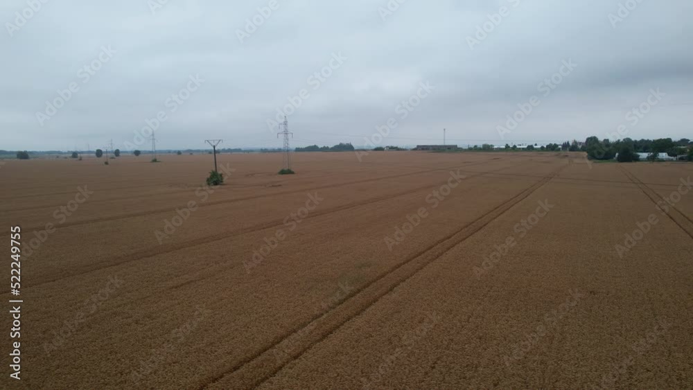Aerial side view of a harvested wheat field with wheel ruts in a cloudy day Aerial side view of a harvested wheat field with wheel ruts in a cloudy day