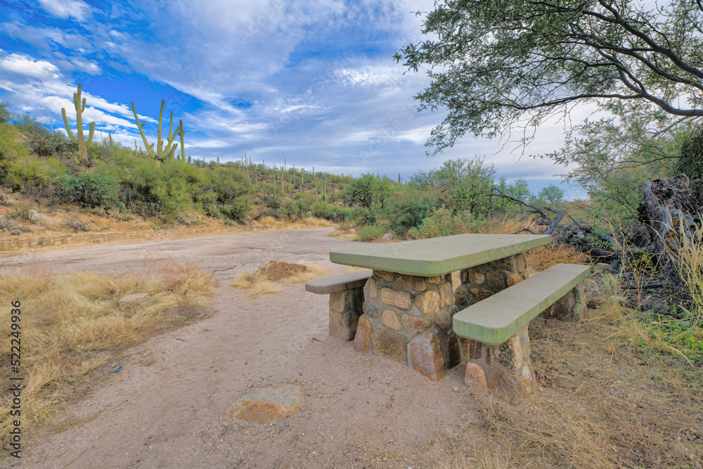 Picnic table with seat near the trail beside the slope with saguaro cactus at Tucson, Arizona
