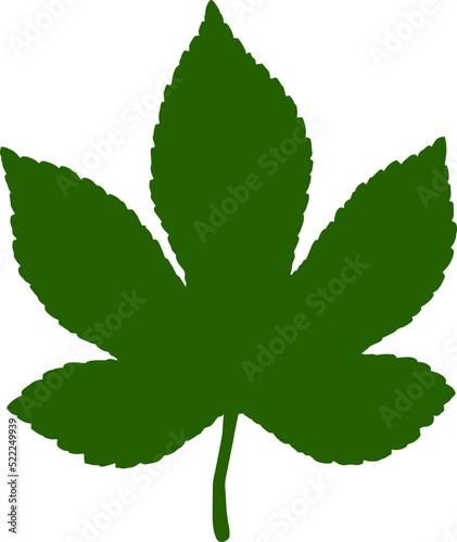 Leaf silhouette icon. Leaf of the tree