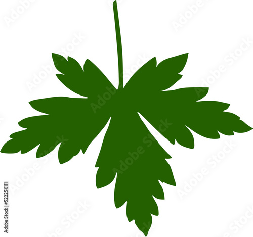 Leaf silhouette icon. Leaf of the tree
