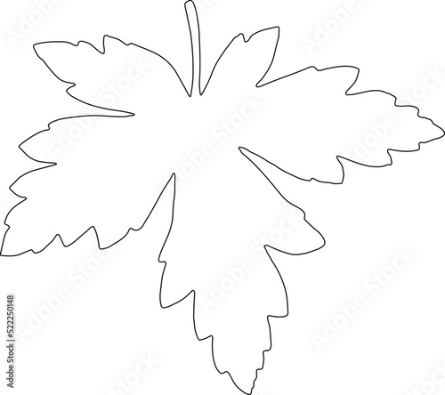 Leaf silhouette icon. Leaf of the tree outline