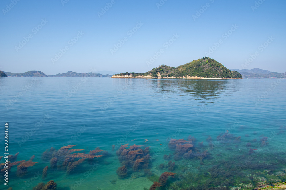 大久野島から望む小久野島と、美しい瀬戸内海 広島県竹原市忠海町 Beautiful view of Setonaikai, Inland Sea of Japan. We can see the island named Kokunoshima , and also see the seaweeds thanks to high transparency, from Okunoshima JPN 大久野島から望む小久野島と、美しい瀬戸内海 広島県竹原市忠海町 Beautiful view of Setonaikai, Inland Sea of Japan. We can see the island named Kokunoshima , and also see the seaweeds thanks to high transparency, from Okunoshima JPN