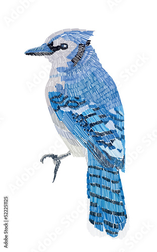 Blue jay illustration. Imitation of embroidery.