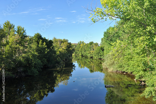 Leito de um rio a passar por entre as árvores com espelho na água