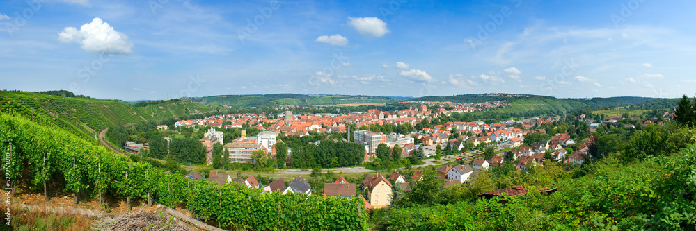 Besigheim Panorama Neckar Enz