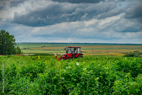 Red tractor in a rural landscape. Harvesting in the field