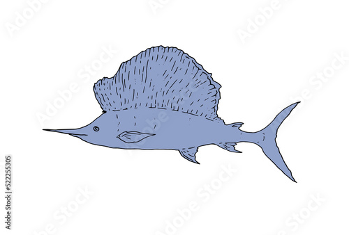 sea fish sailboat Istiophorus platypterus black outline with blue color in sketch style, with gray pattern for label design template Vector isolated elements