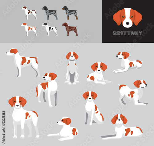 Dog Brittany Cartoon Vector Illustration Color Variation Set