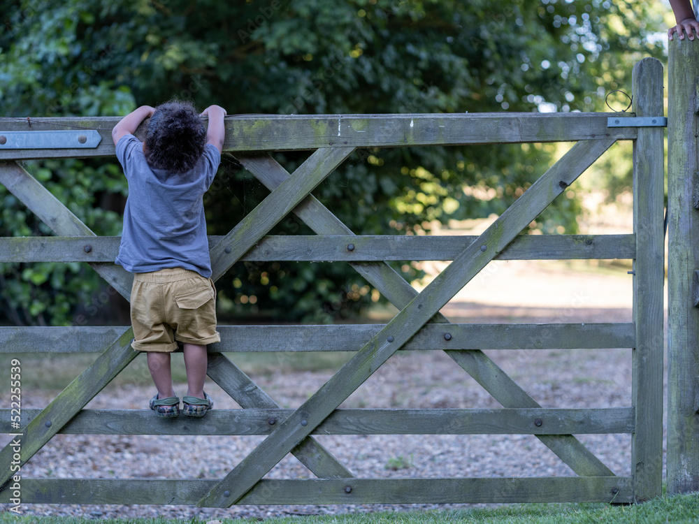 Boy (2-3) climbing fence