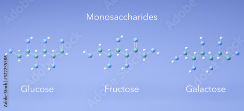 monosaccharide - glucose, fructose, galactose, molecular structures, 3d rendering, Structural Chemical Formula photo