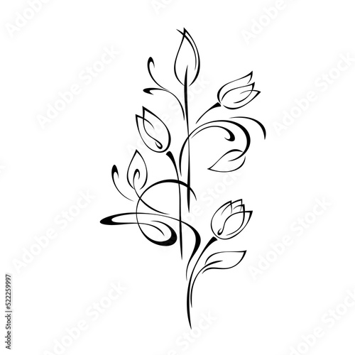 ornament 2411. decorative element with flower buds on stems with leaves and swirls. graphic decor
