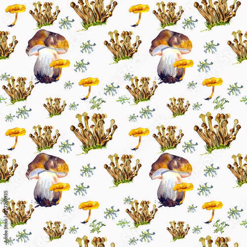Mushrooms Seamless Wallpaper Seamless Watercolor Background Hand Drawn Forest Plants Mushrooms