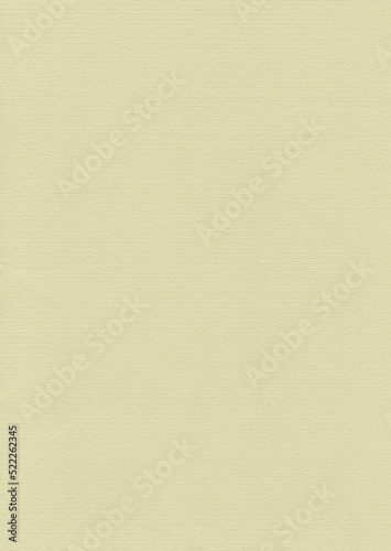 Sand dollar color paper texture background with pattern. Highly detailed paper background.