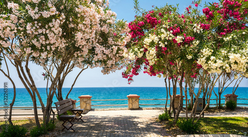 Beautiful resort promenade with blooming colorful oleanders against backdrop of Mediterranean Sea and blue sky.