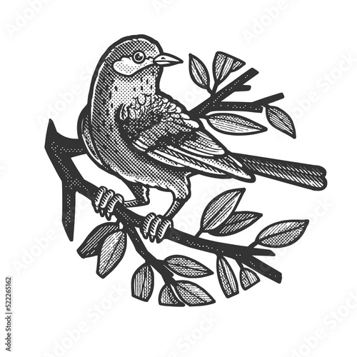 bird on a tree branch sketch halftone pattern vector illustration. Scratch board imitation. Black and white hand drawn image.