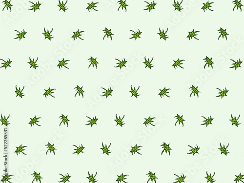 Pattern of green palms on a light turquoise background. Nature, trees, leaves. Design, background decoration, postcard, wrapping paper, packaging © LudaZuy