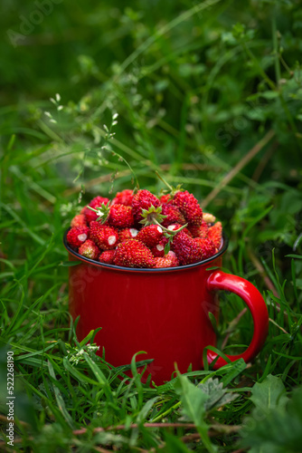 Obraz na plátne Fresh wild strawberries in red mug