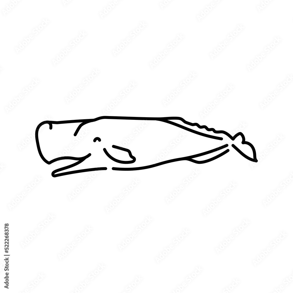 Cachalot color line illustration. Marine mammals. Cachalot color line illustration. Marine mammals.