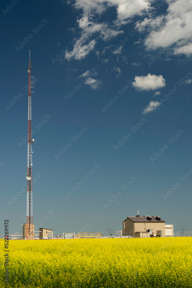 Communications antenna providing rural internet with a utilities station on a blooming yellow mustard seed field in Rocky View County Alberta Canada.