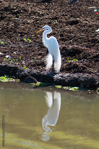 garsa standing in the land of the lake