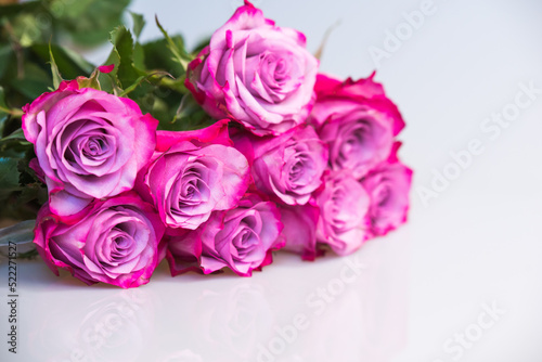 Bouquet of purple roses on white background. Flower background. Mothers Day  Wedding and Birthday concept.