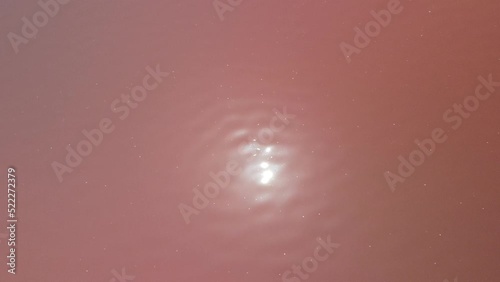 Flying over a pink salt lake. Salt production facilities saline evaporation pond fields in the salty lake. Dunaliella salina impart a red, pink water in mineral lake with dry cristallized salty coast photo