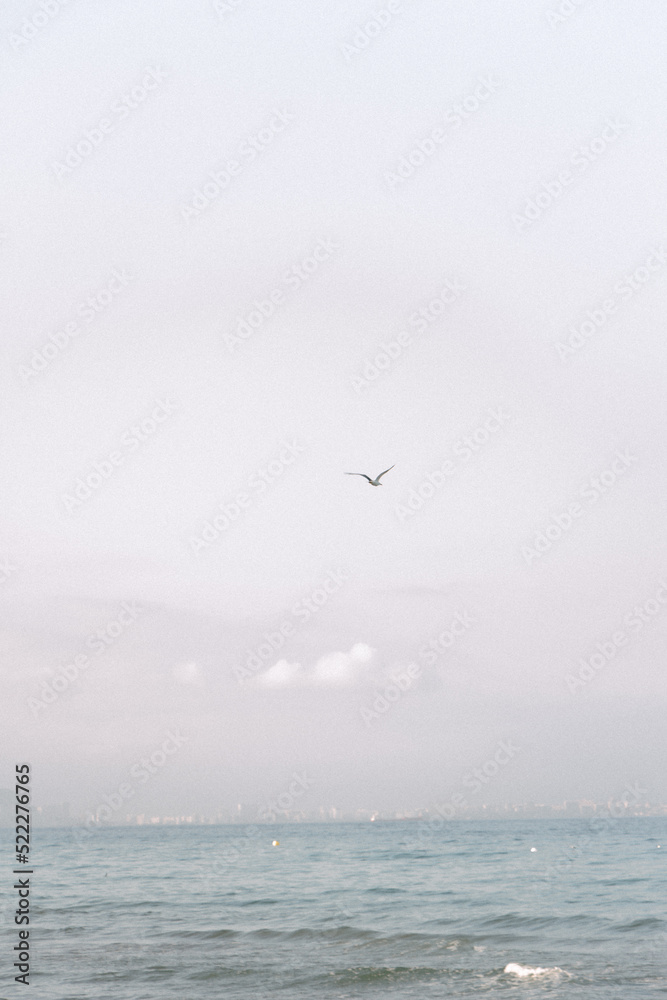 Fototapeta premium playa agua arena olas mar oceano