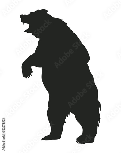 big bear wild silhouette