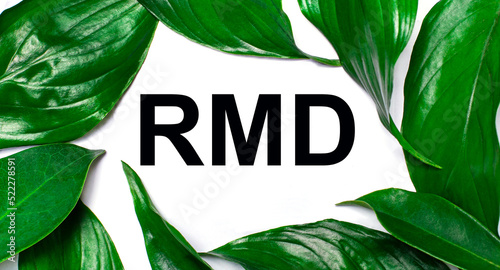 Against the background of green natural leaves, a white card with the text RMD Required Minimum Distributions