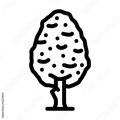 pear tree line icon vector. pear tree sign. isolated contour symbol black illustration