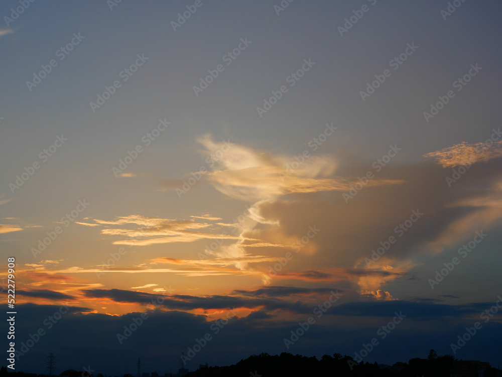 Fototapeta premium 日本,神奈川県,夏,木陰から見る夕焼け,夕焼け,木陰,夕方,雲,晴れ,人物なし,無人,人無し,