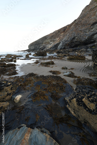 Tregardock Beach the North Cornish Coast © Tim