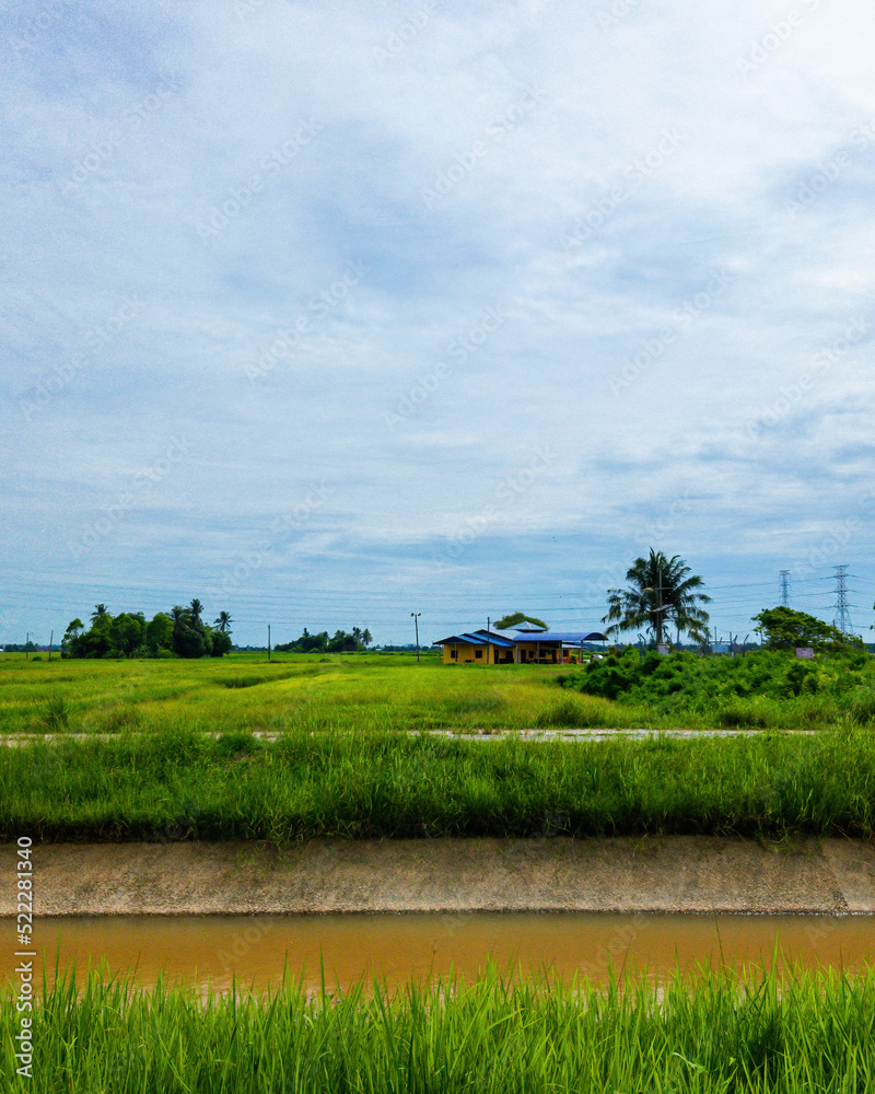 Beautiful green paddy field with a yellow house in a sunny day in Perlis, Malaysia. Beautiful green paddy field with a yellow house in a sunny day in Perlis, Malaysia.