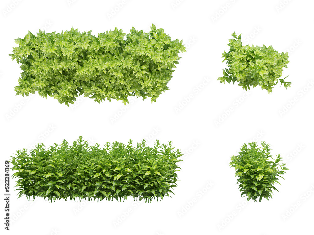 Obraz premium 3d Render Brush Tree Isolated on white