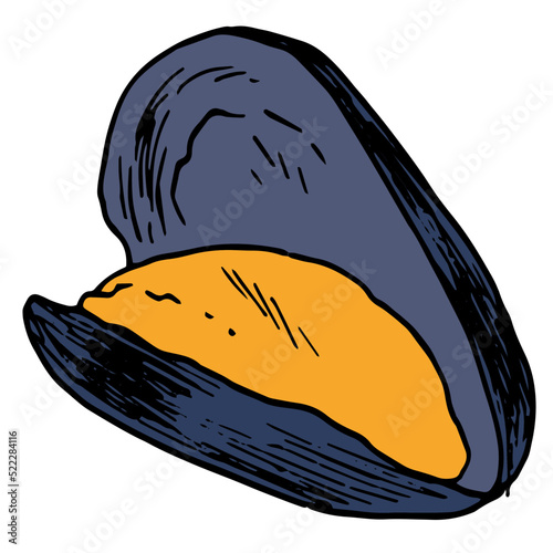 open orange mussels with a gray-blue shell. seafood opens with a hand-drawn isolated seafood mussel in the style of a sketch on white for a design template, packaging, menu