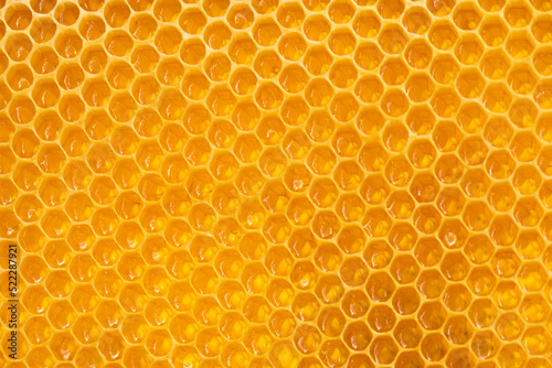 Honeycombs background texture of honeycombs filled with honey.