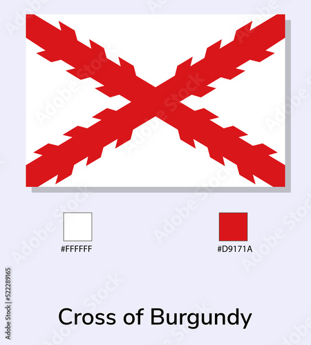 Vector Illustration of Cross of Burgundy flag isolated on light blue background. Illustration Cross of Burgundy flag with Color Codes. vector eps10.
