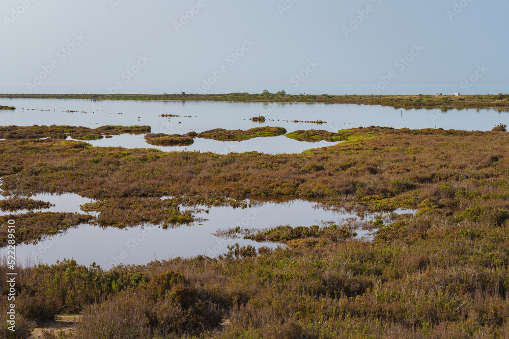 Landscape at Landscape at