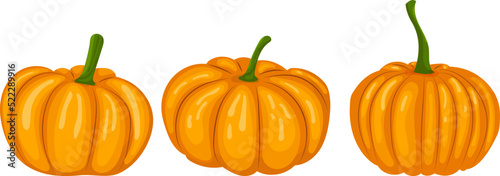 autumn pumpkins in flat style, isolated