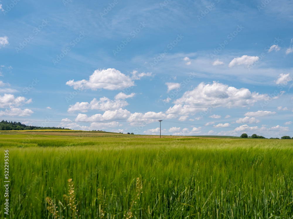 Obraz premium Strommasten einer Überlandleitung